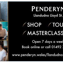 Penderyn Distillery