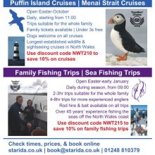 Starida Puffin Island Cruises